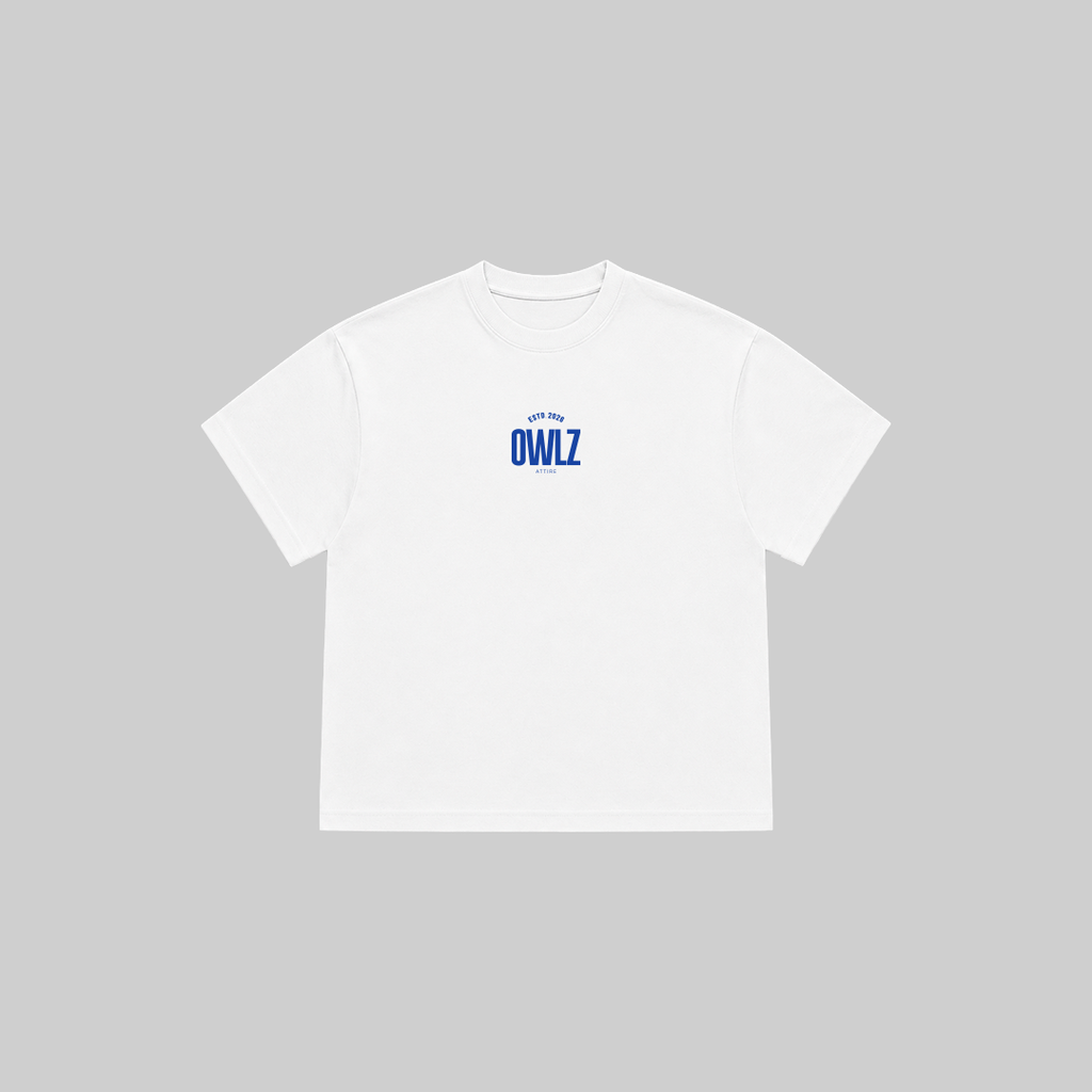 OWLZ STUDIOZ [GRAFFITI] BOXY TEE